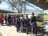 Visita escolar Xenpal.