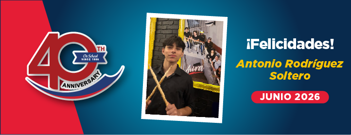 articulo
